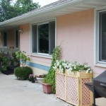The new house