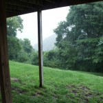 Rainy view